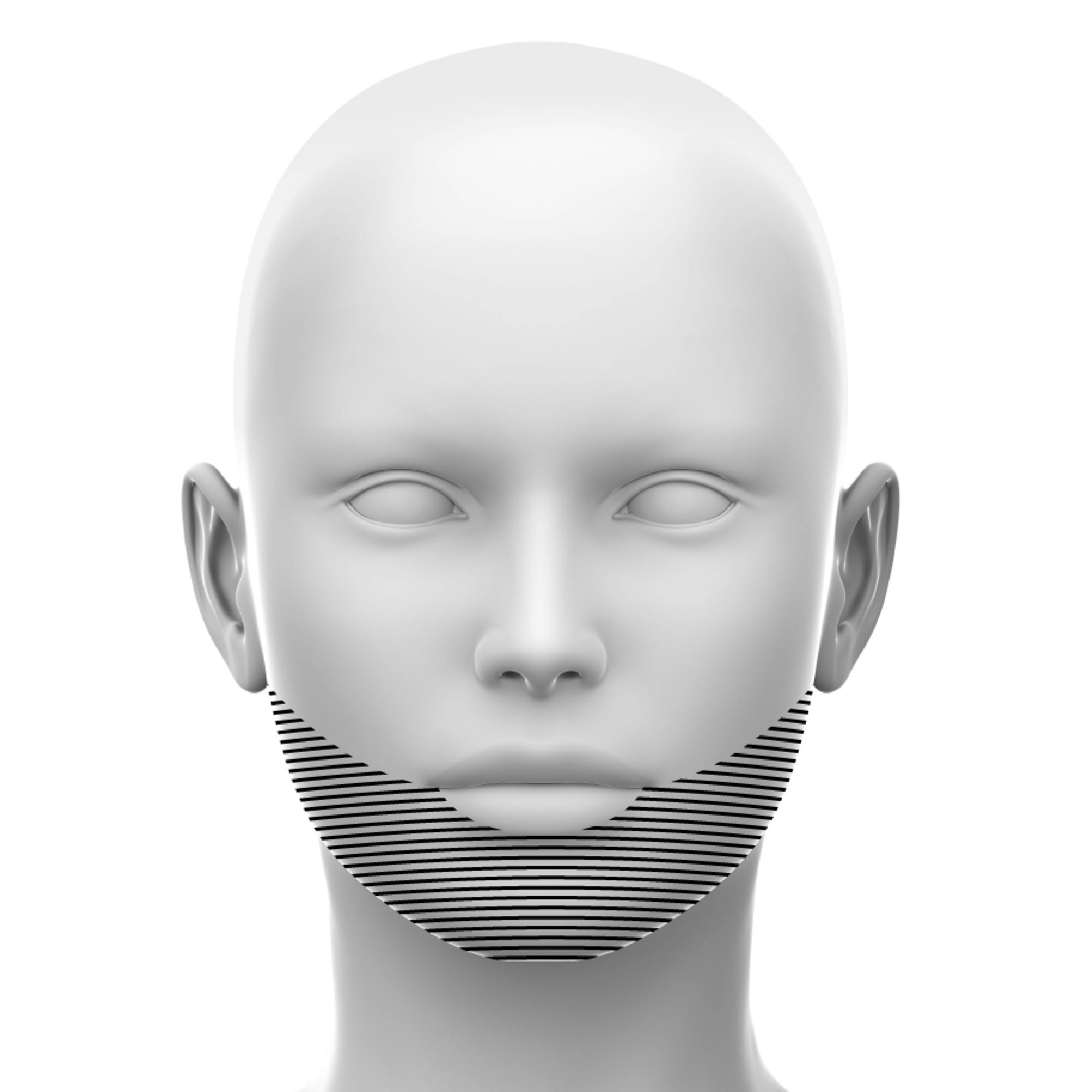 Diagrammatic image of the lower face course region