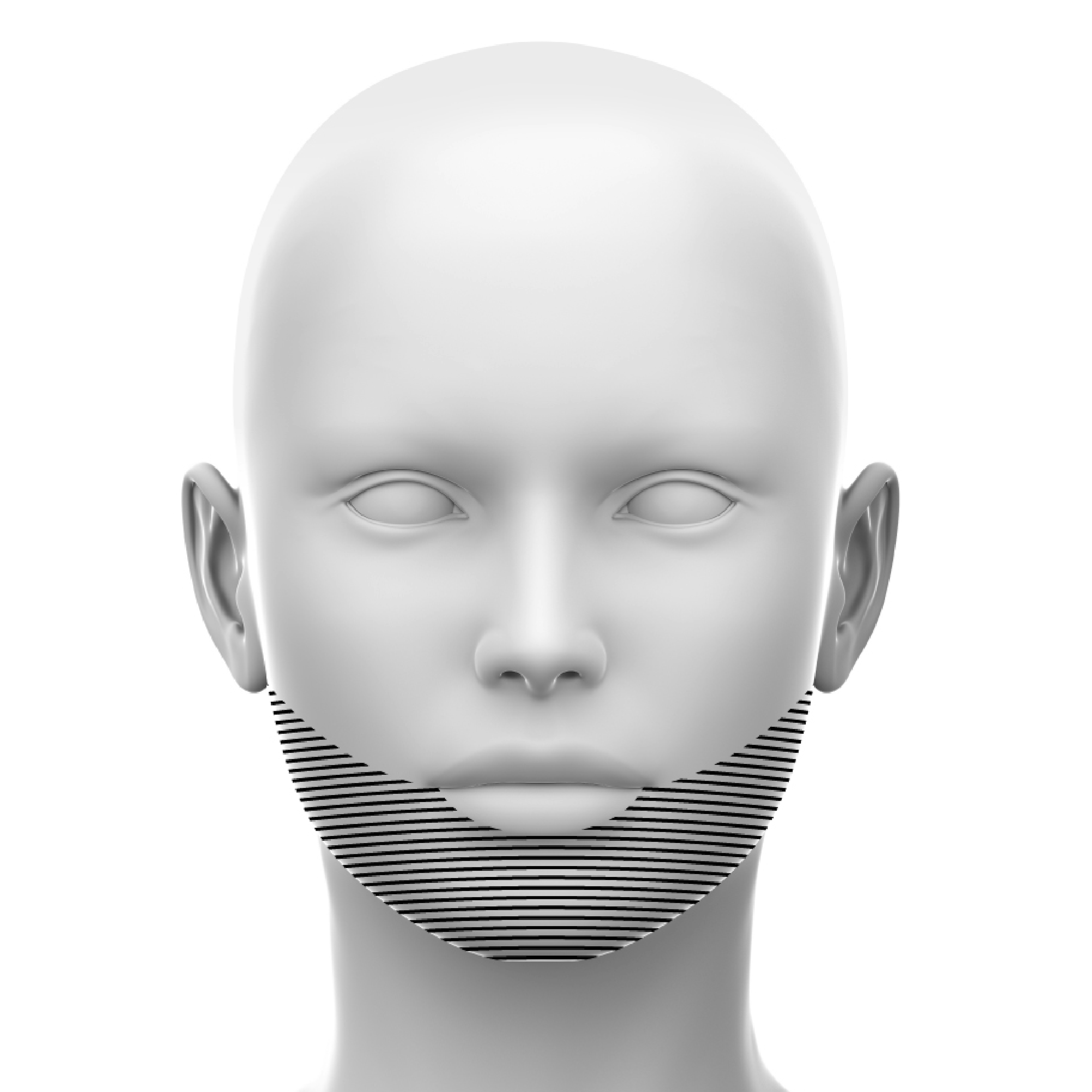 Diagrammatic image of the lower face course region