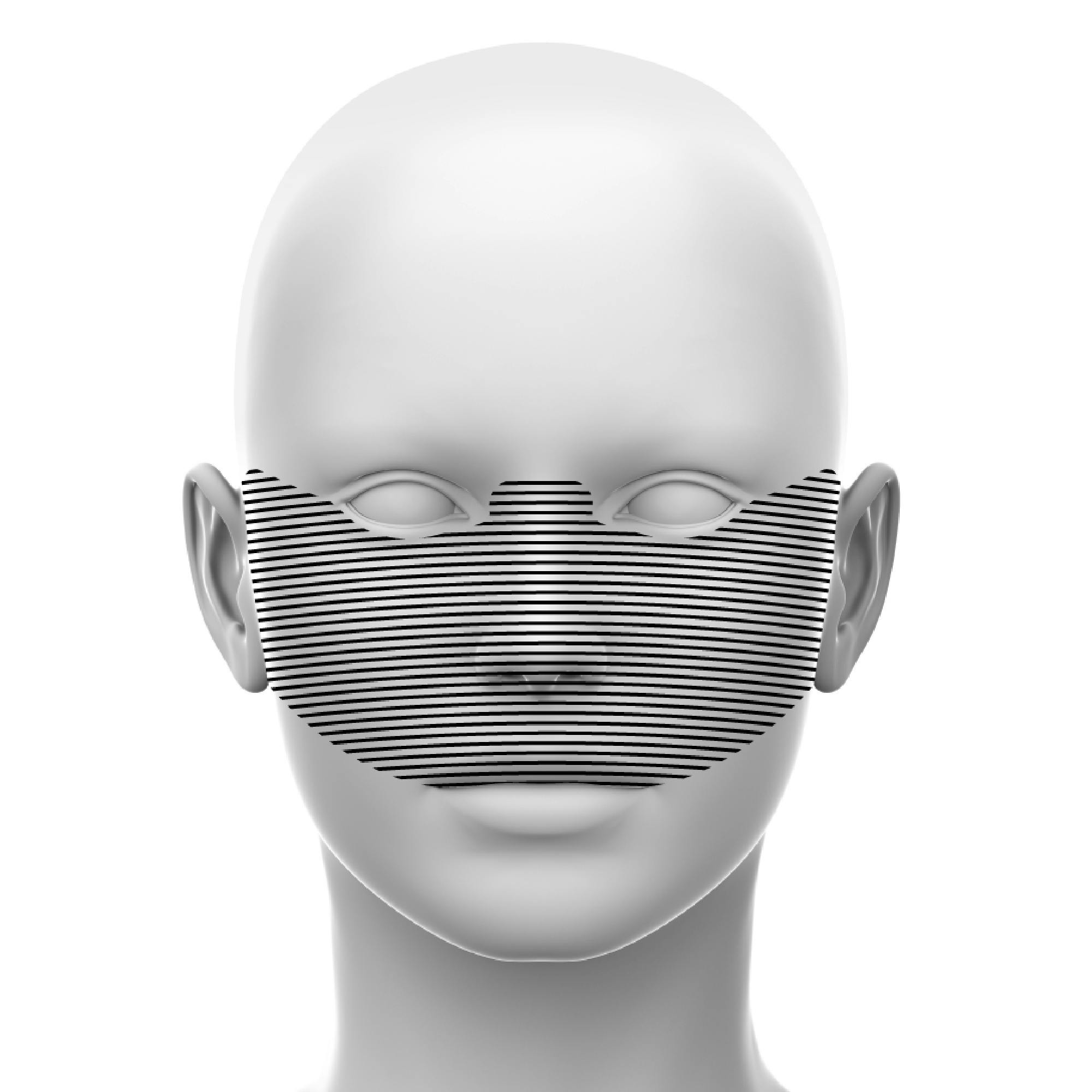 Diagrammatic middle face region image