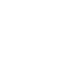 needle-icon