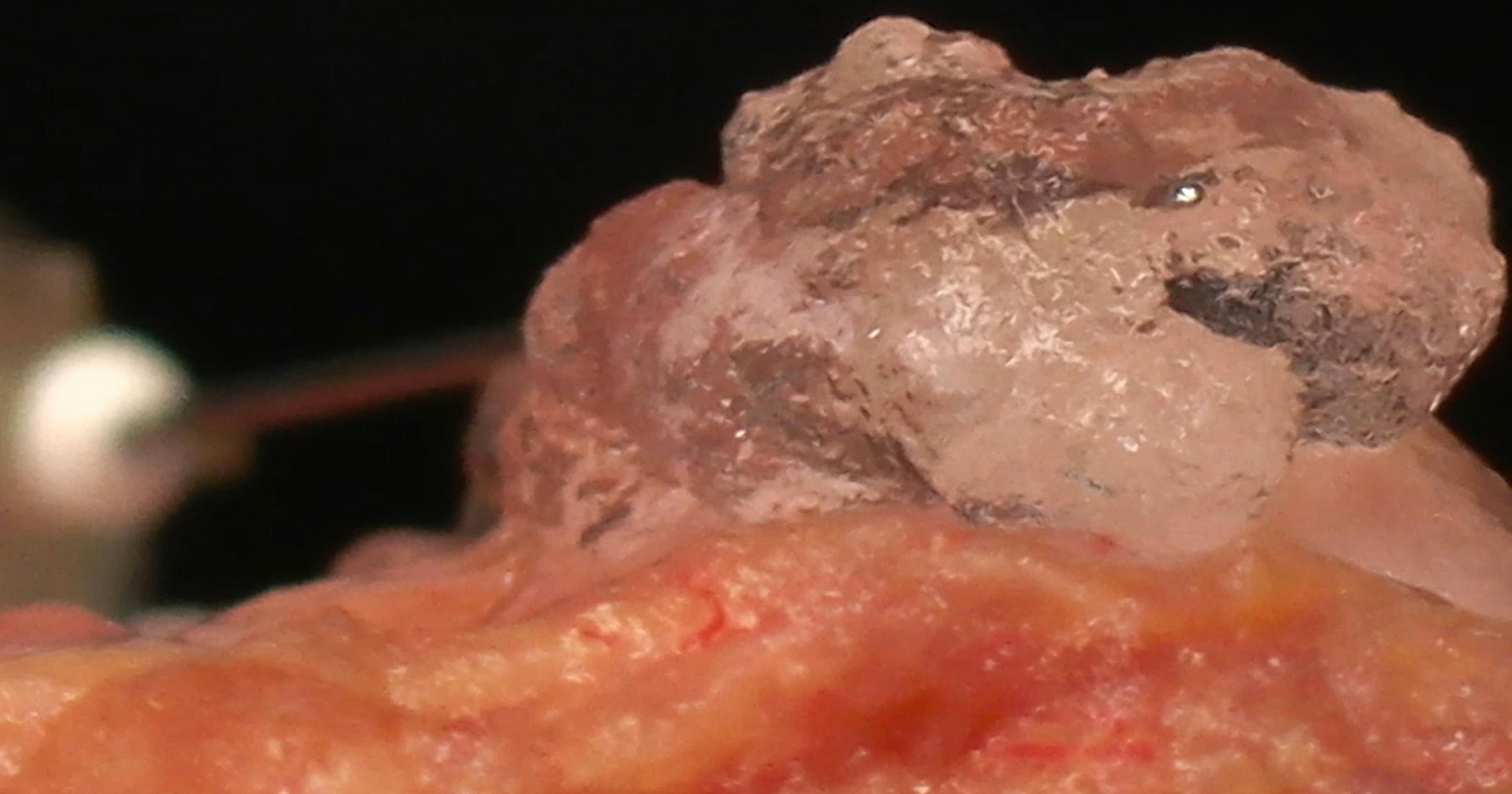 Rheology being performed