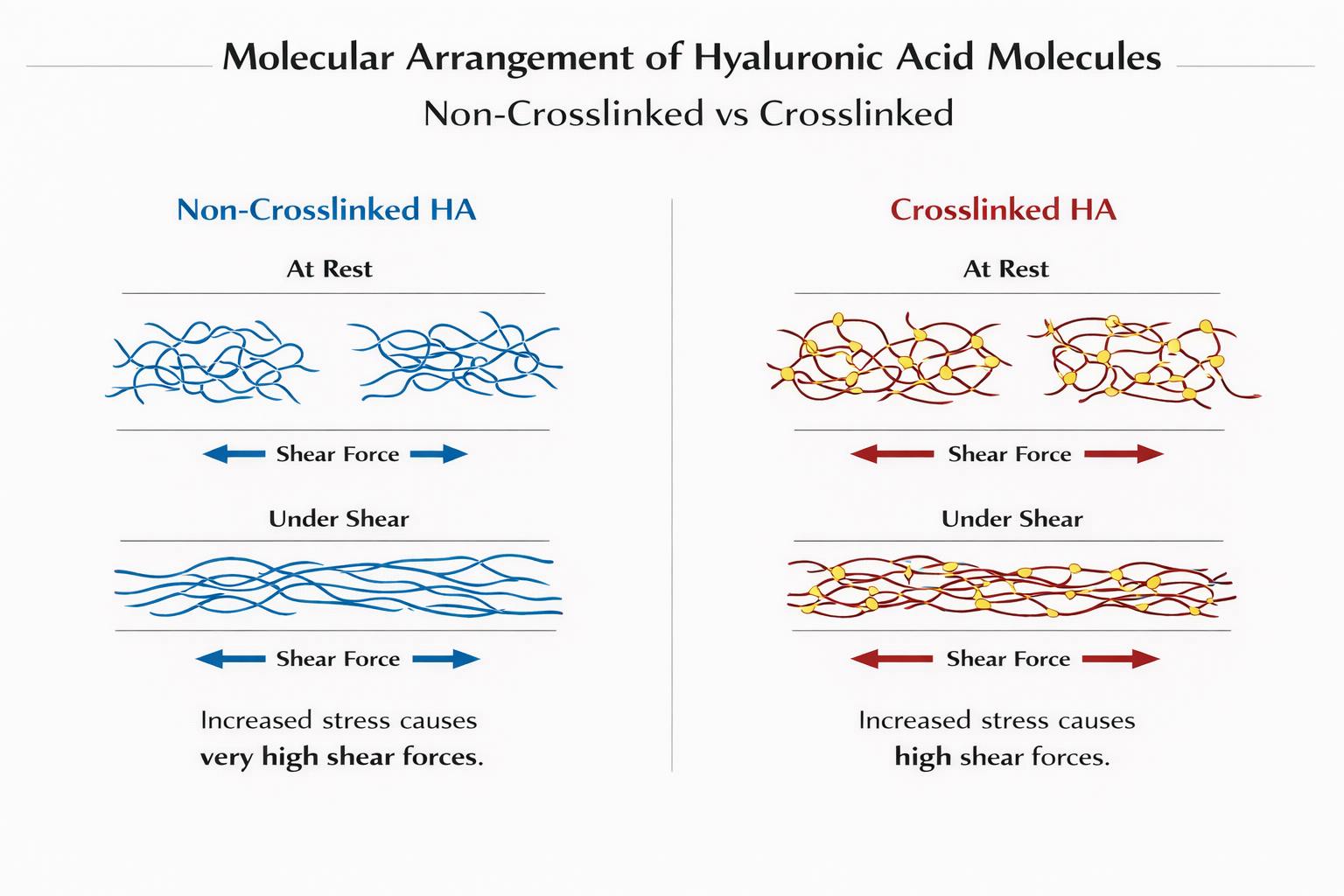 Molecular arrangement of hyaluronic acid molecules diagram