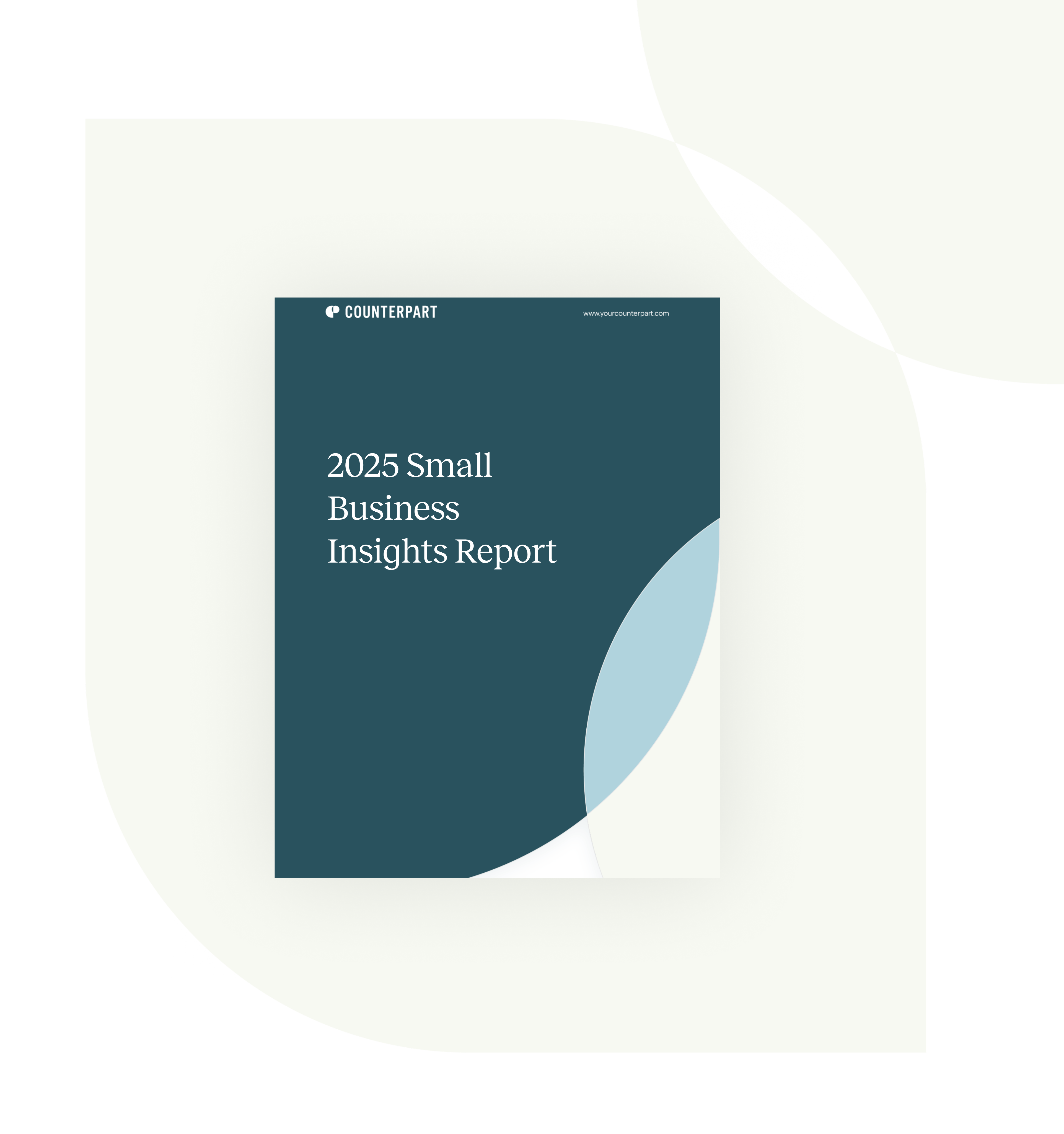 2025 Small Business Insights Report