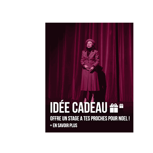 stage idée cadeau