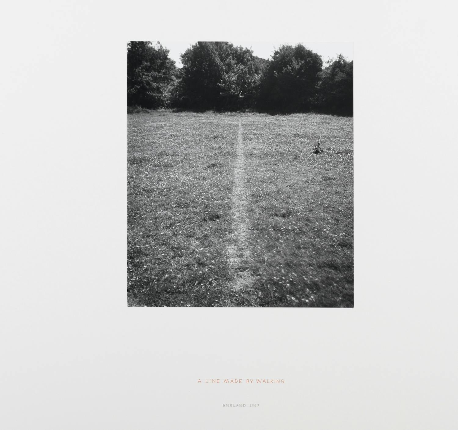 [ID: The image is a black and white photograph positioned on a grey sheet of paper. At the bottom two lines of text are written; ‘A LINE MADE BY WALKING’ in red and ‘ENGLAND 1967’ in black. The photograph shows a field of grass, through which a line has been vertically traced. End of ID]