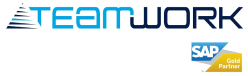 Logo du partenaire Teamwork