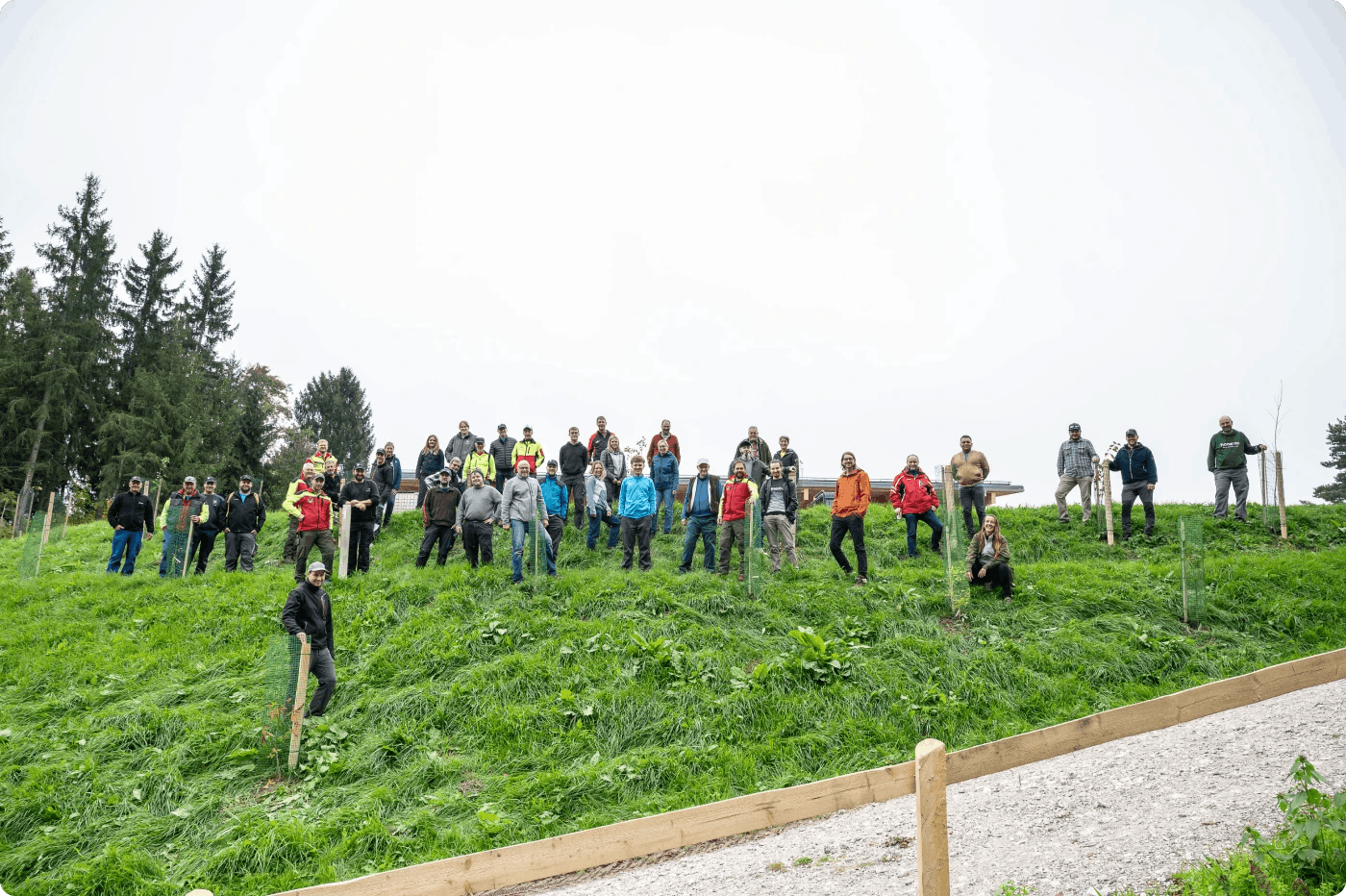 3 800 neue Bäume für das Schutzwald Engagement Sense-Oberland: Helvetia, Skribble und Musikgesellschaft Alphorn Plaffeien pflanzen Zukunft. (Quelle: Helvetia)