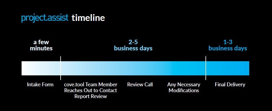 consulting services timeline