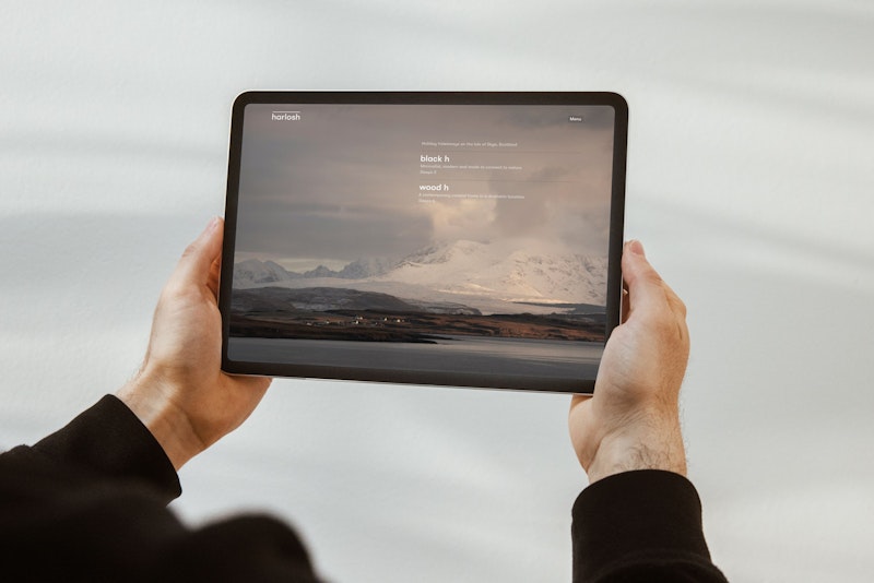 The Winter Experience on iPad