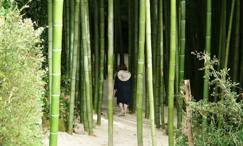 Bamboo gardens