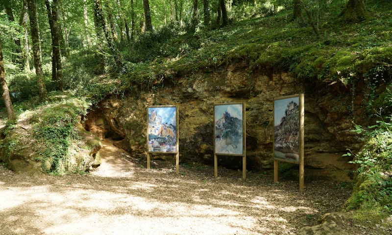 In the woodland at Marqueyssac gardens