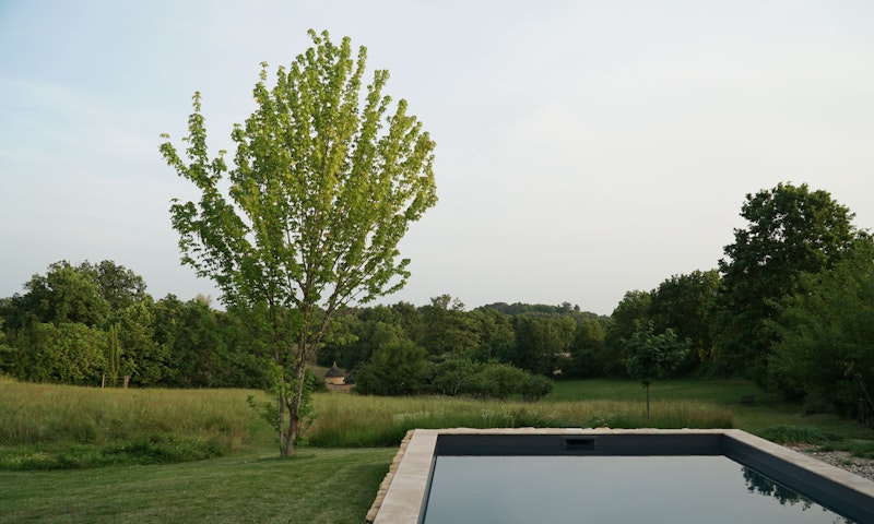 Garden of Maison Palissy and the salt water pool