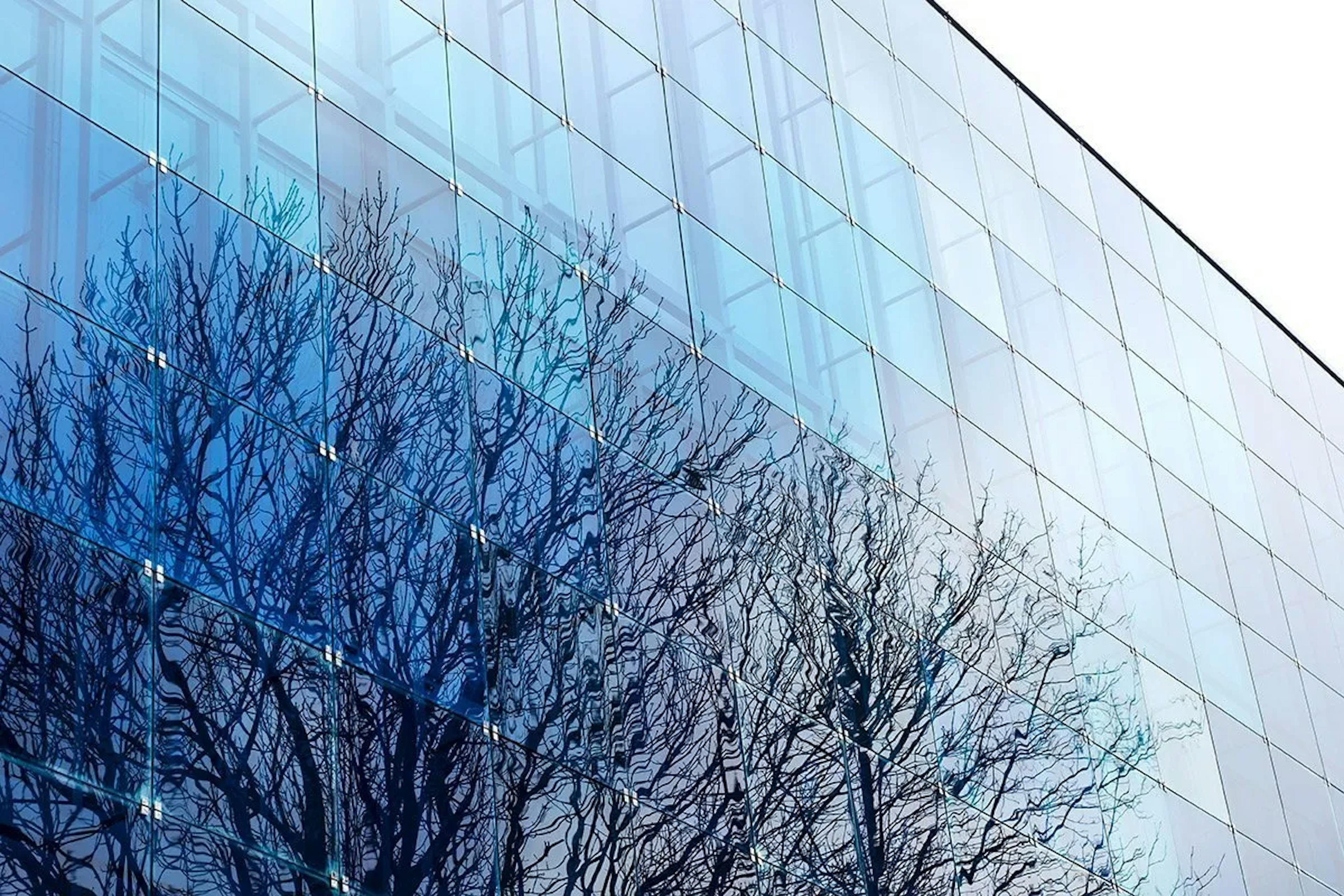 Bare trees in front of a glass building