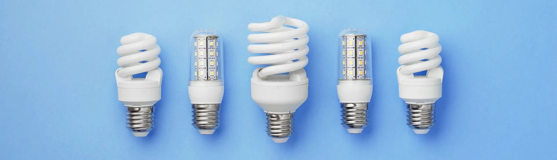 Different lightbulbs on a light blue background