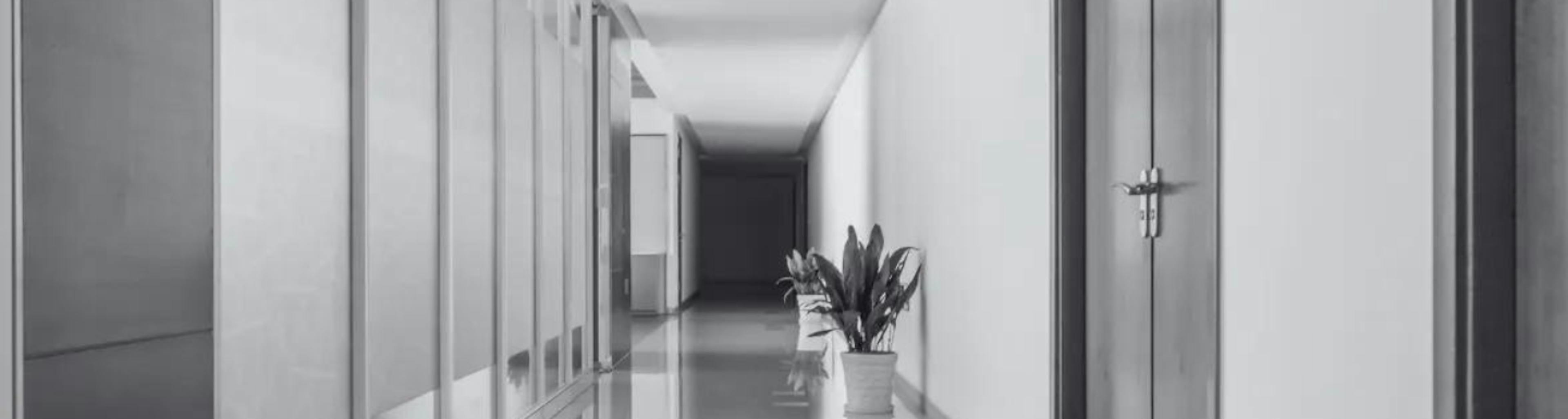 hallway with plant