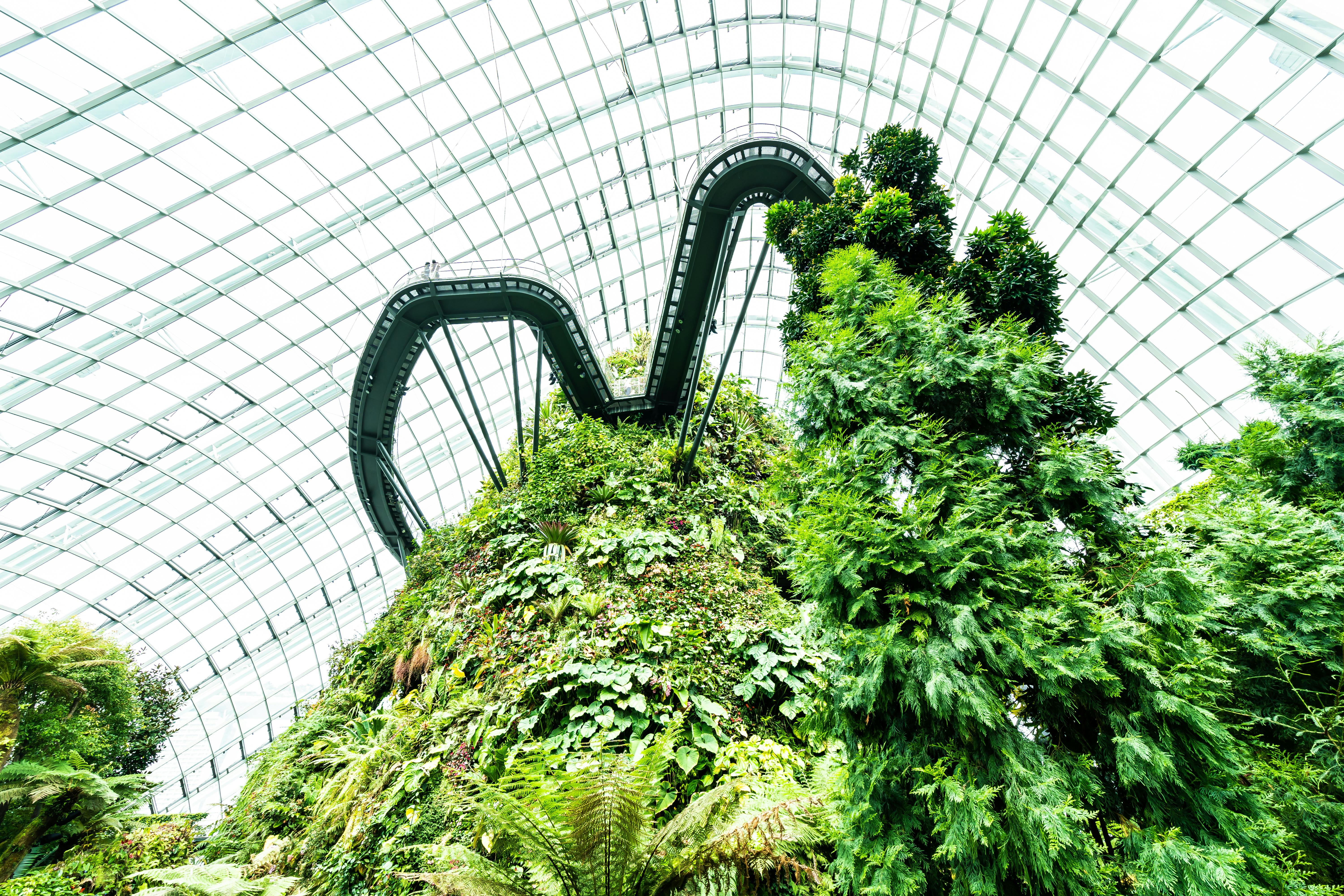 Gardens By The Bay Sustainable Architecture Example biophilic design 