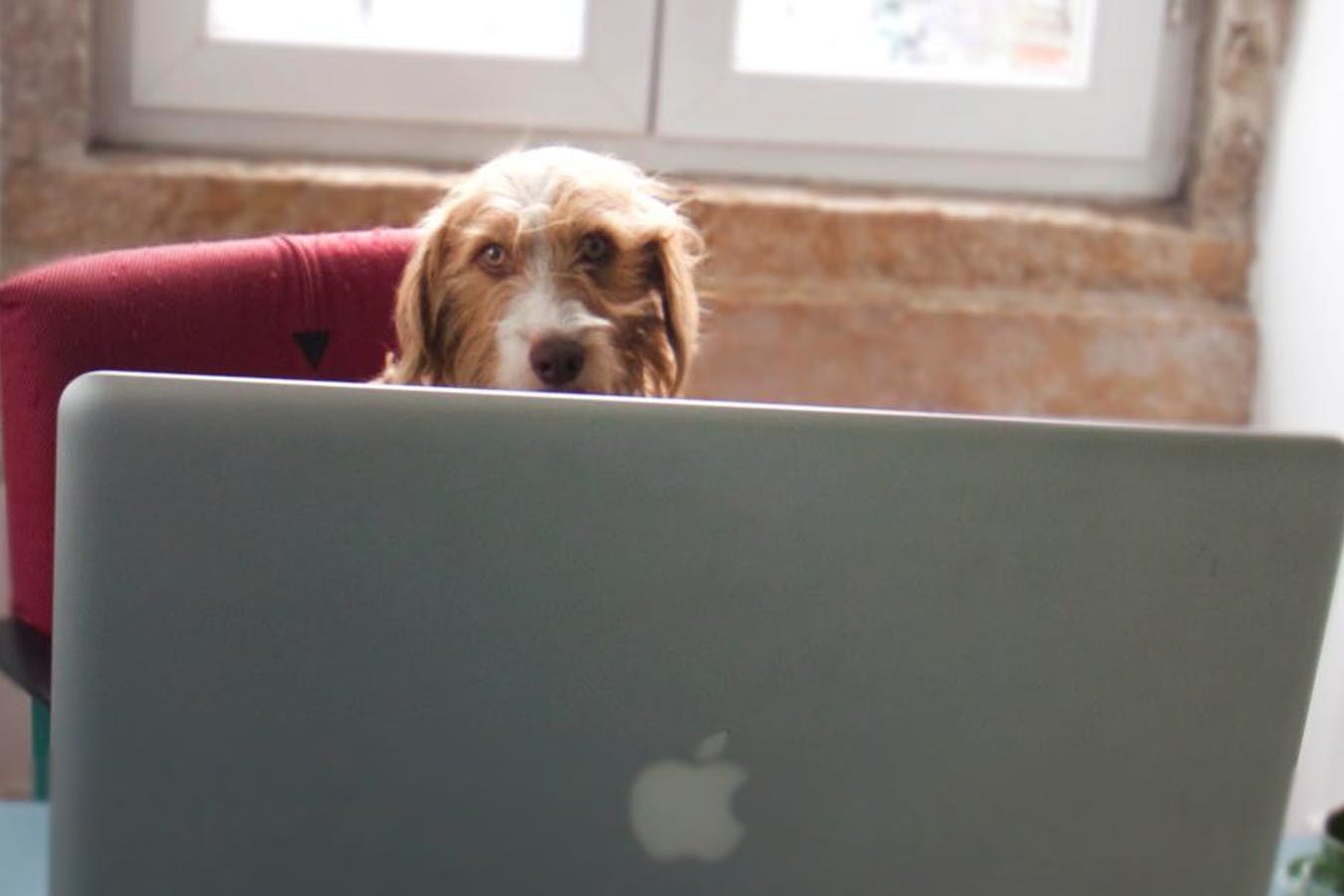 Abir Koubaa – Great cowork spot