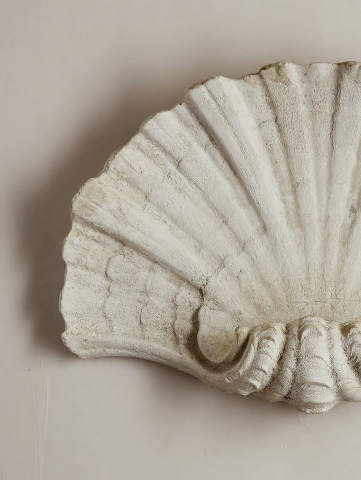 Cox-London-Furniture-Lighting-and-Art-Studio-CPW37-Scallop Shell Wall Light-03