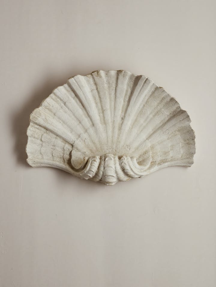 Cox-London-Furniture-Lighting-and-Art-Studio-CPW37-Scallop Shell Wall Light-04