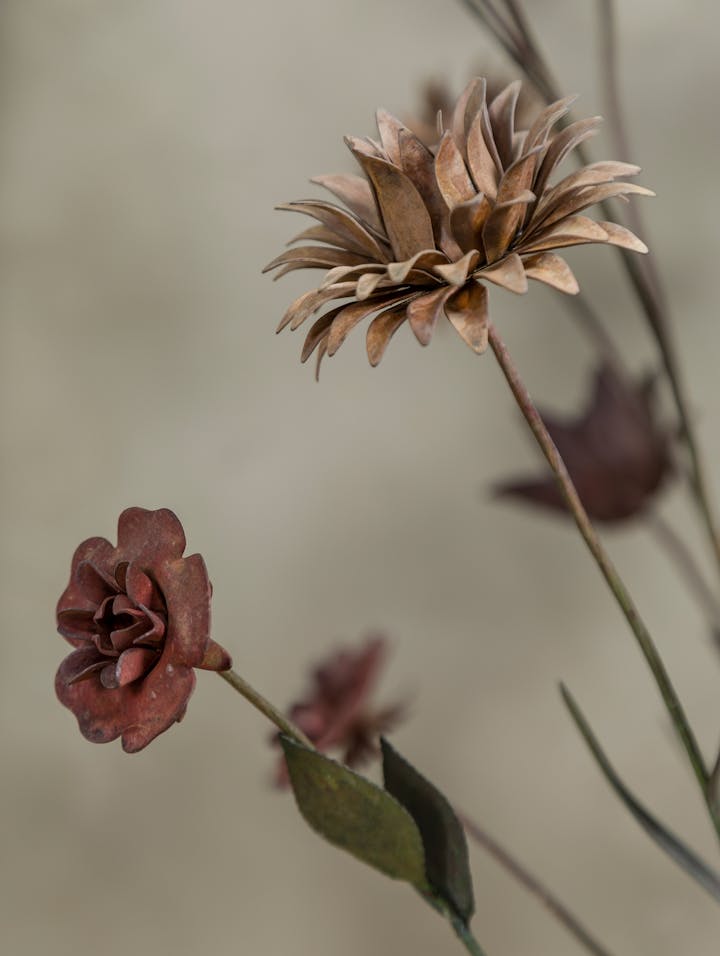 Cox-London-Furniture-Lighting-and-Art-Studio-CPV01-Floral-Display-05