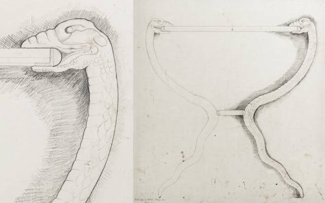 Cox-London-Furniture-Lighting-and-Art-Studio-Ball-Eye-Serpent-Drawing