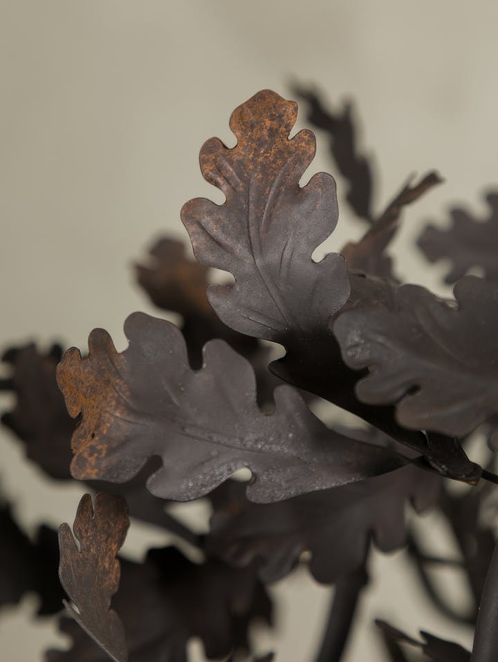 Cox-London-Furniture-Lighting-and-Art-Studio-CPC35-Petite Oak Chandelier-Bronzed Iron-06