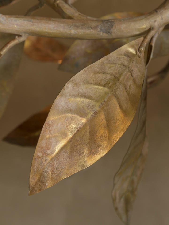 Cox-London-Furniture-Lighting-and-Art-Studio-CPC50-Magnolia Branch Chandelier-10