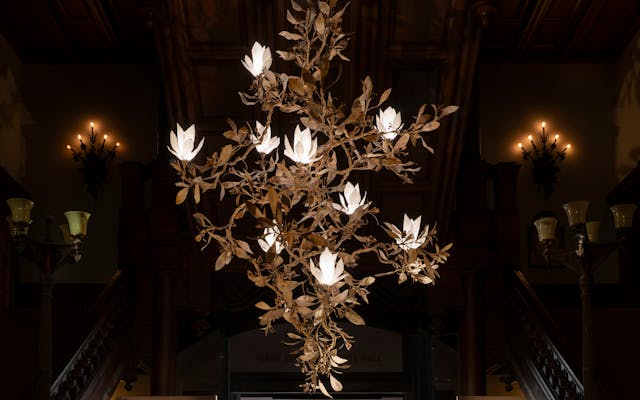 Cox-London-Furniture-Lighting-and-Art-Studio-Magnolia-Grandiflora-Installed