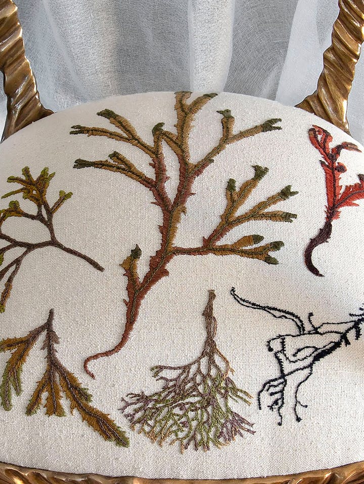 Cox-London-Furniture-Lighting-and-Art-Studio-CPF49-Seaweed-Voyagers-Chair-06