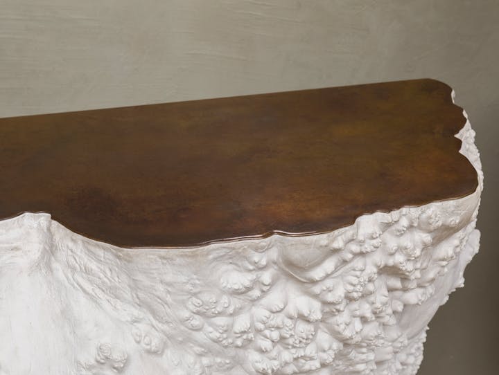 Cox-London-Furniture-Lighting-and-Art-Studio-CPT55-Burr-Console-Brass-Top-03