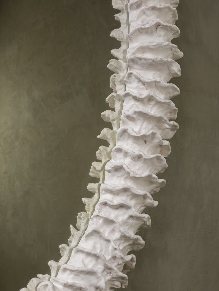 Cox-London-Furniture-Lighting-and-Art-Studio-CPM18-Fossil-Mirror-02