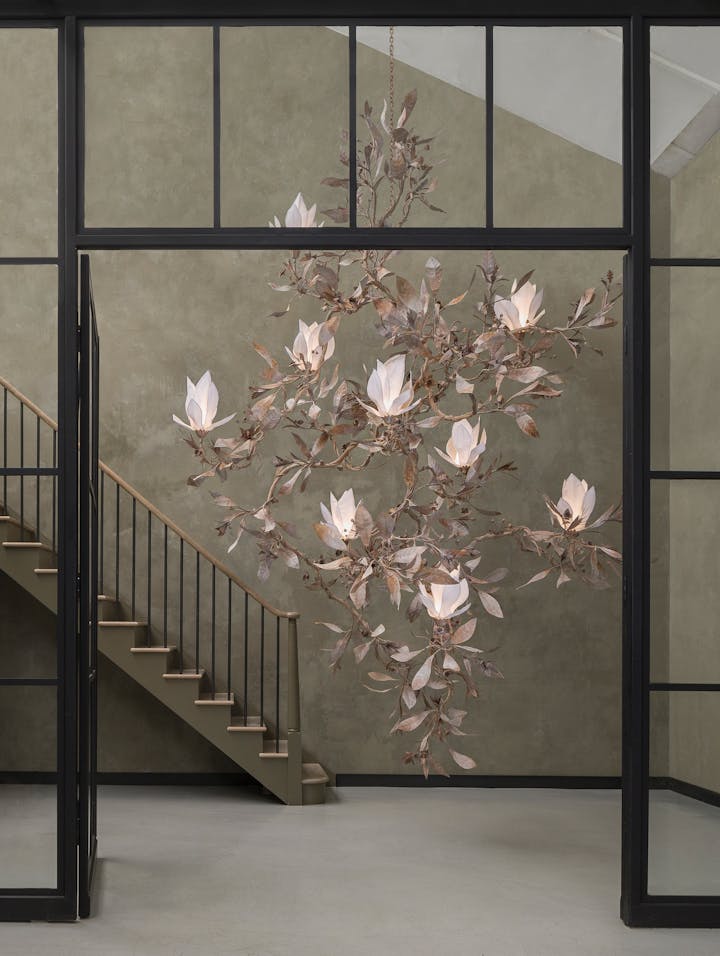 Magnolia Grandiflora