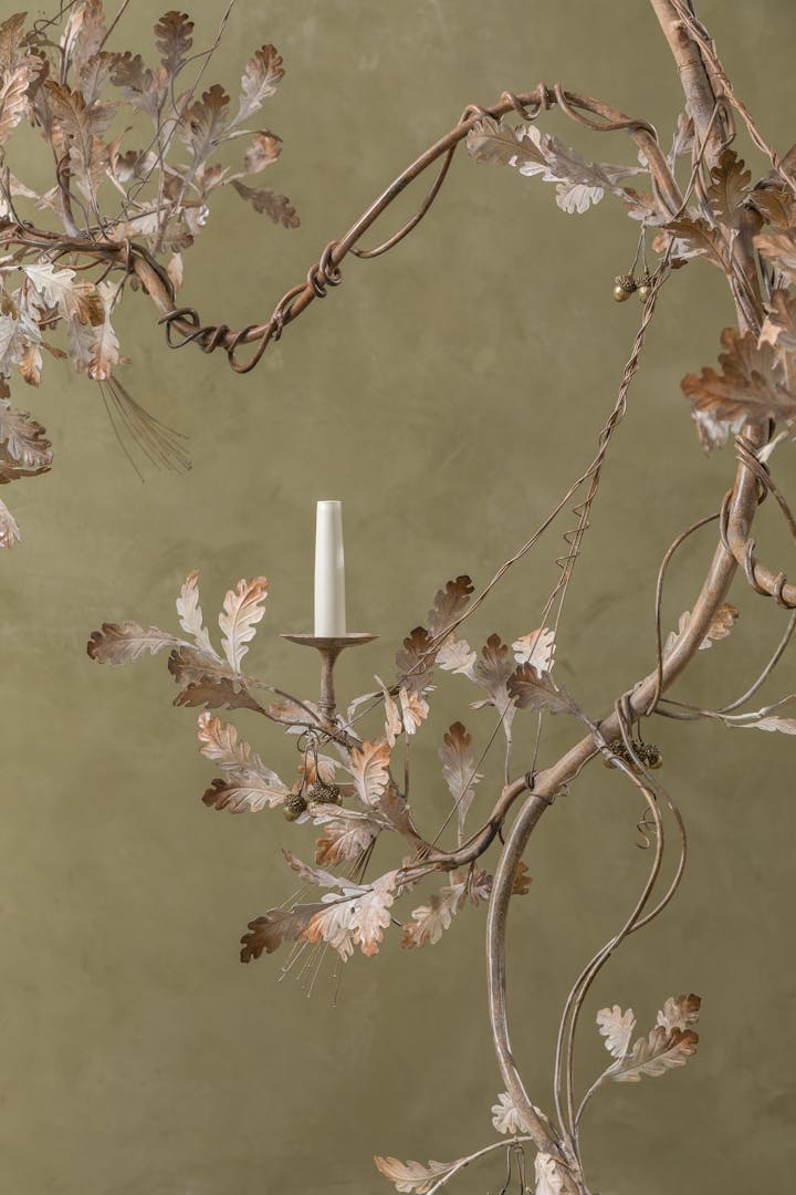 Cox-London-Furniture-Lighting-and-Art-Studio-Mater Quercus-04