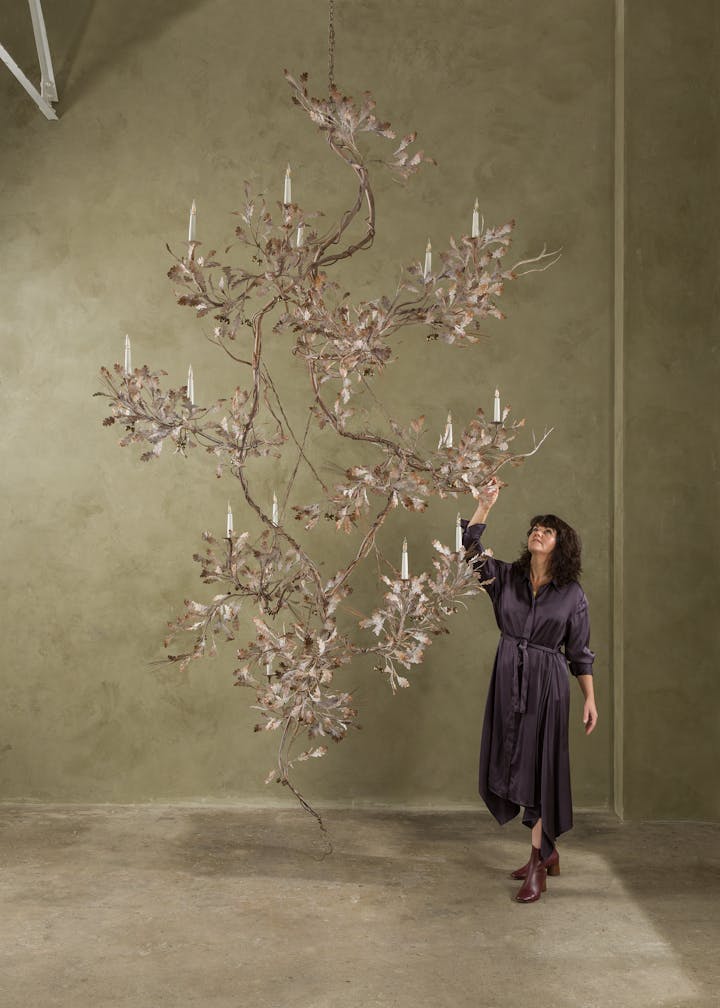 Mater Quercus and Nicola Cox