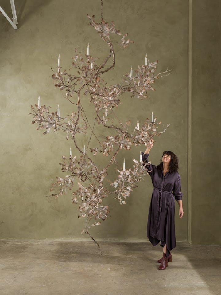 Mater Quercus and Nicola Cox