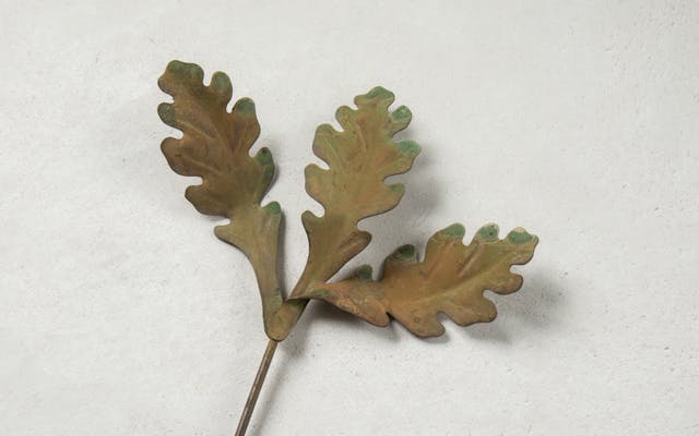 Oak Leaf Sample
