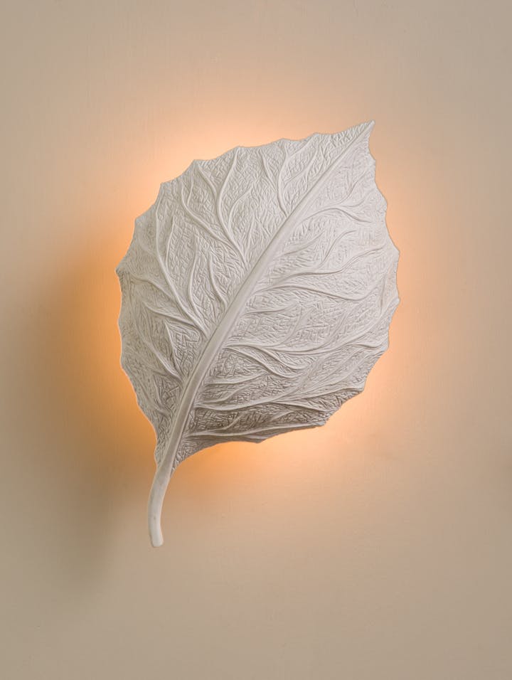 Cox-London-Furniture-Lighting-and-Art-Studio-Floating Jesmonite Leaf Small-06