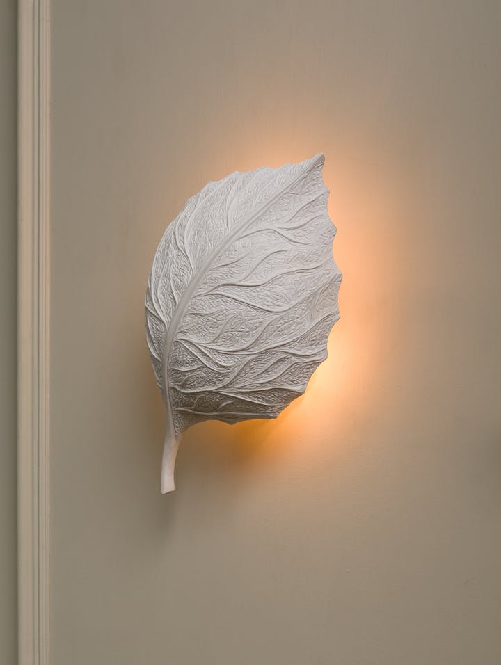 Cox-London-Furniture-Lighting-and-Art-Studio-Floating Jesmonite Leaf Small-10