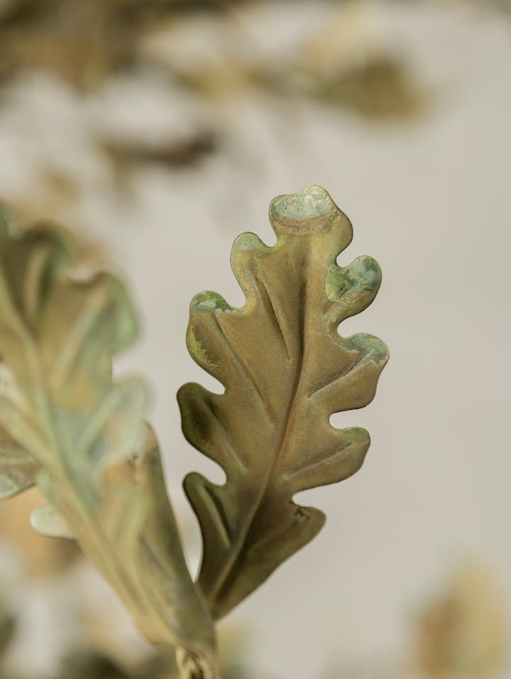 Cox-London-Furniture-Lighting-and-Art-Studio-spring-oak-tree-detail