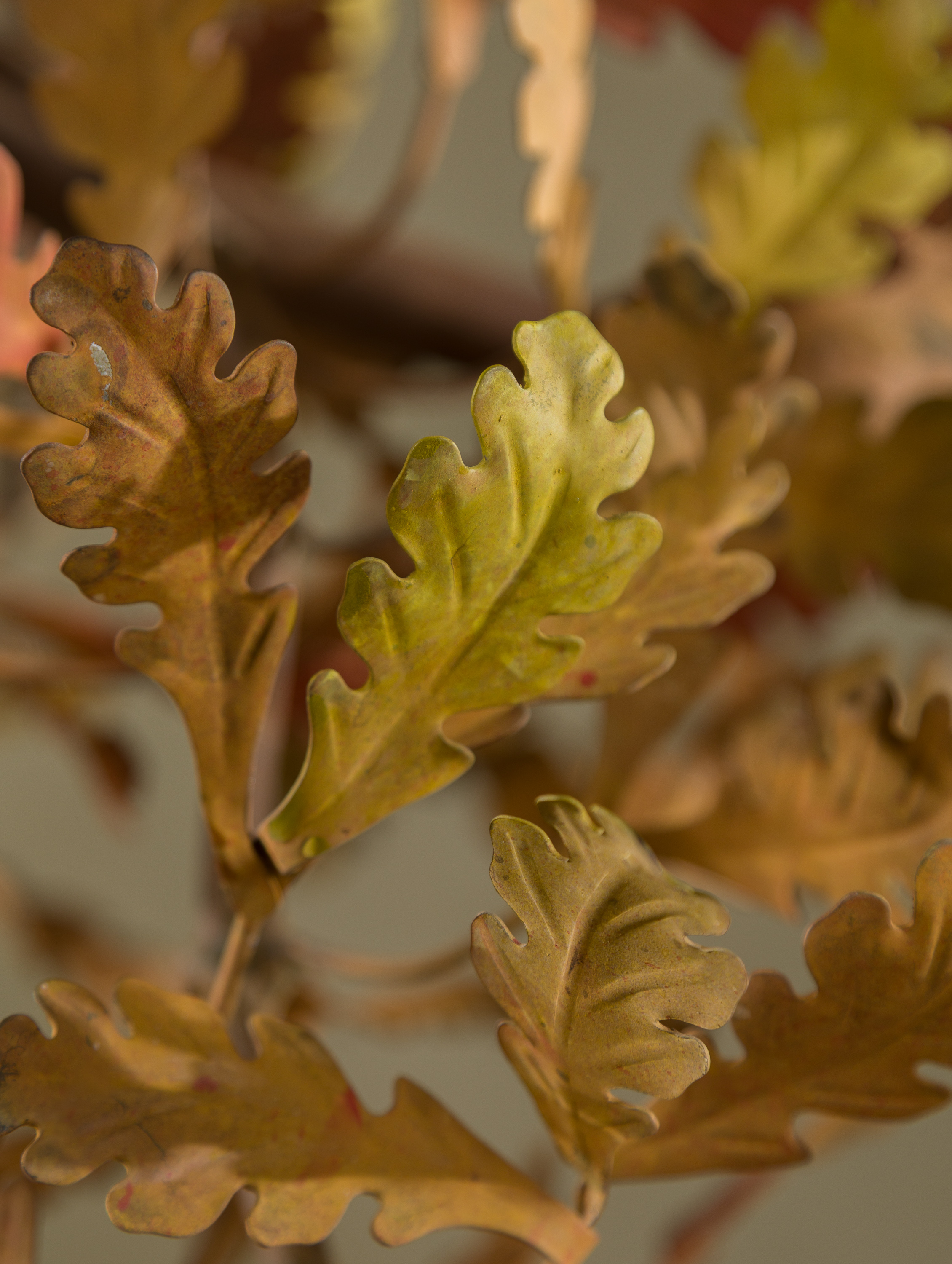 Cox-London-Furniture-Lighting-and-Art-Studio-Autumn Oak Branch-12