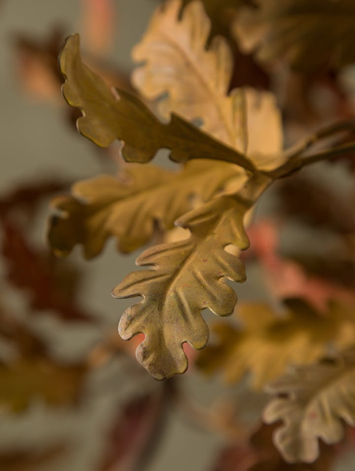 Cox-London-Furniture-Lighting-and-Art-Studio-Autumn Oak Branch-16