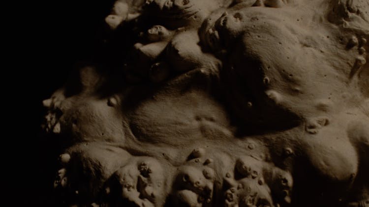 cox alchemist film still