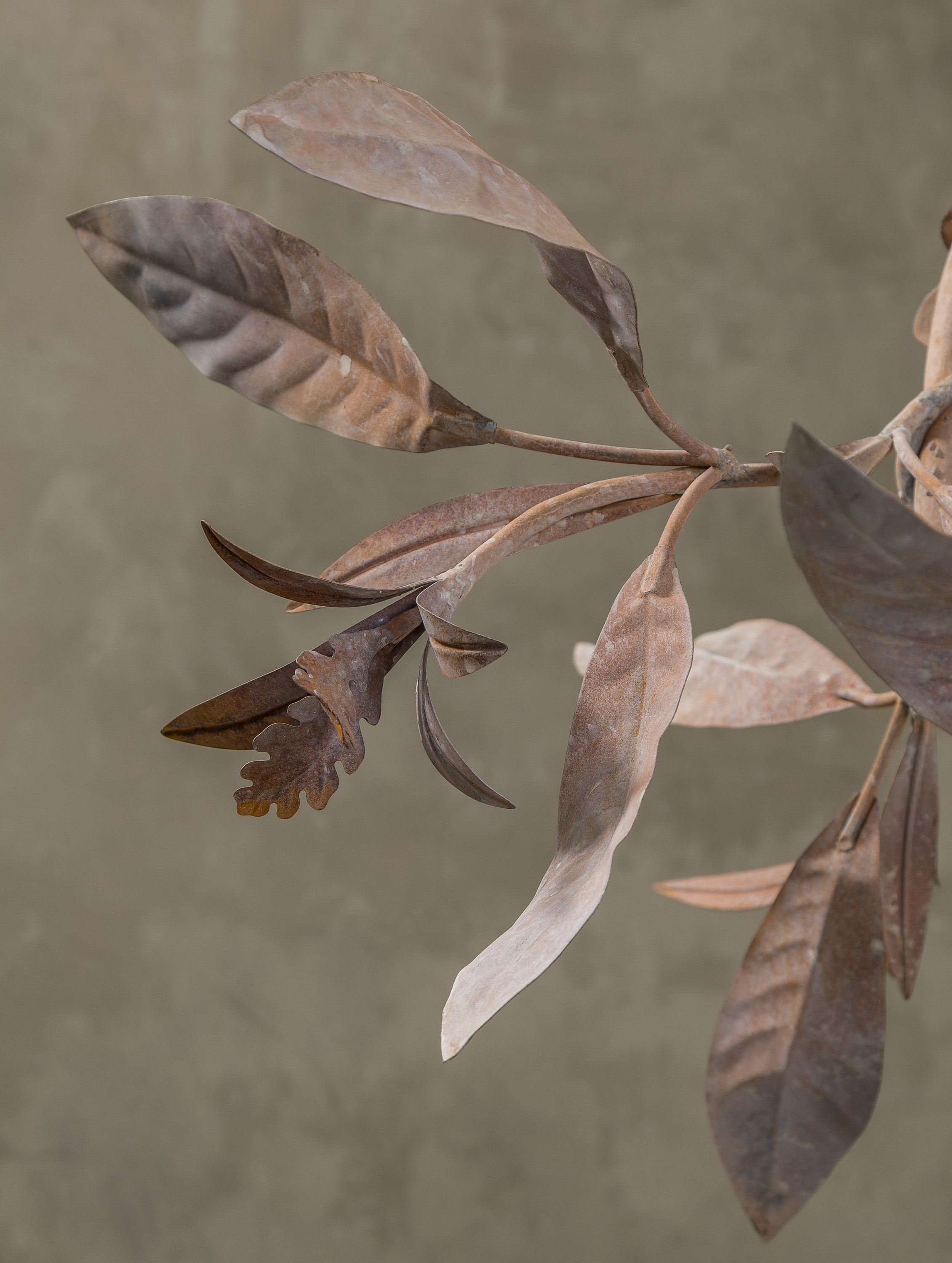 Cox-London-Furniture-Lighting-and-Art-Studio-Magnolia Grandiflora-30