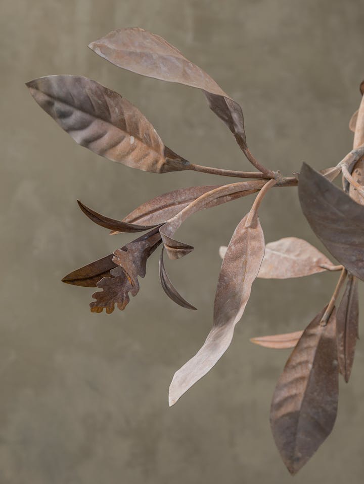 Cox-London-Furniture-Lighting-and-Art-Studio-Magnolia Grandiflora-30