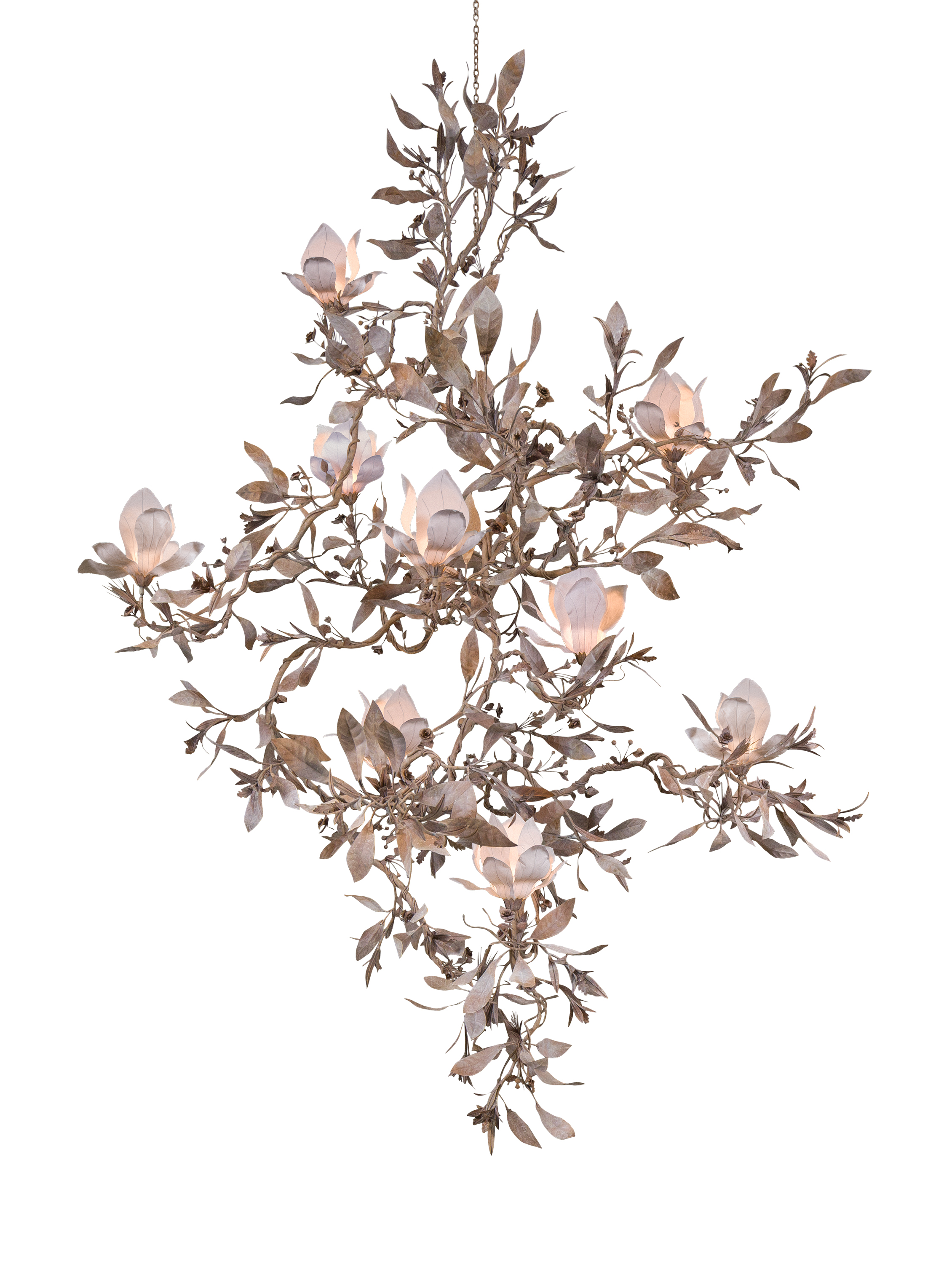 Cox-London-Furniture-Lighting-and-Art-Studio-Magnolia Grandiflora V3-cutout