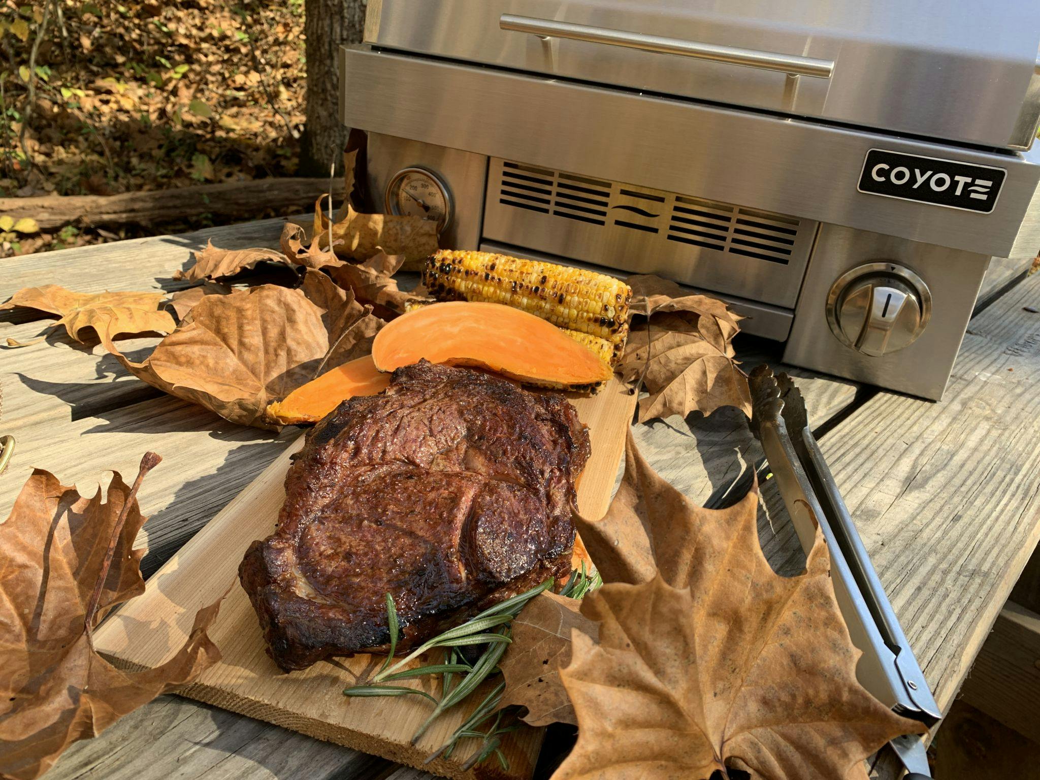 steak cooked on portable grill