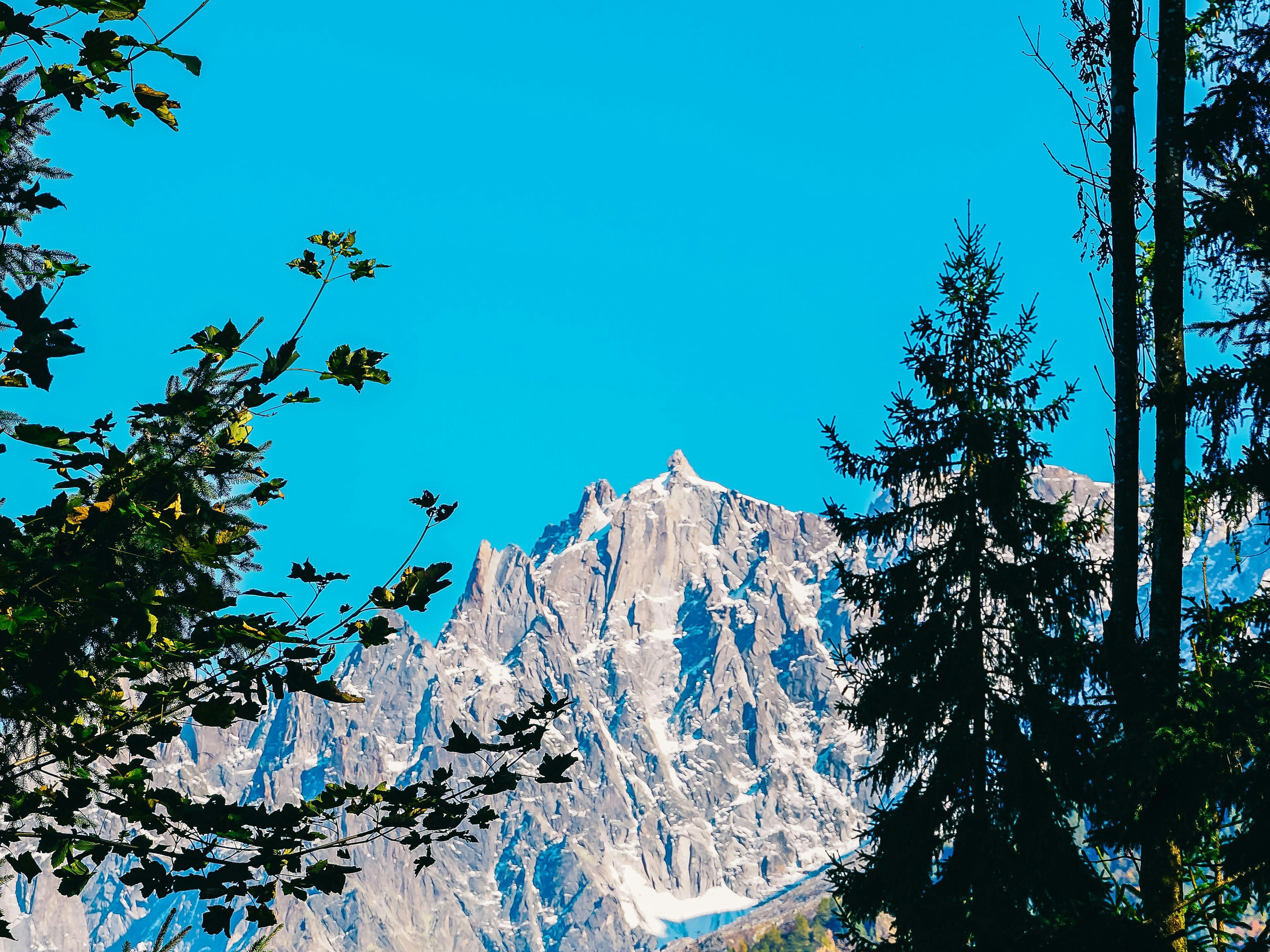 Les Houches activities