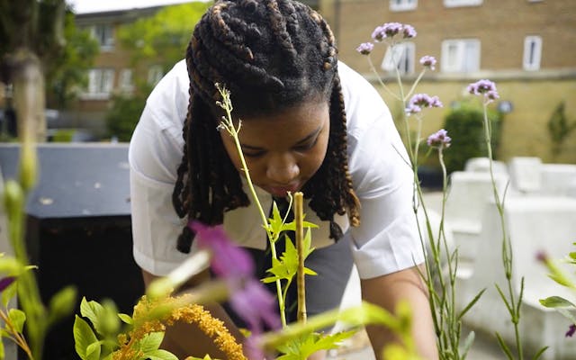 a female student planting flowers