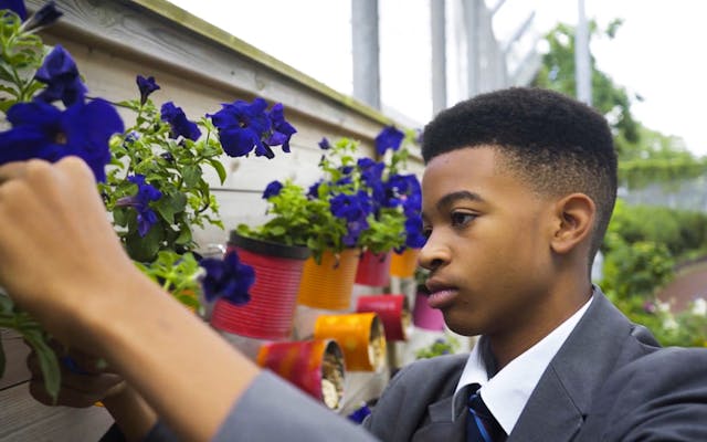 male student deadheading flowers