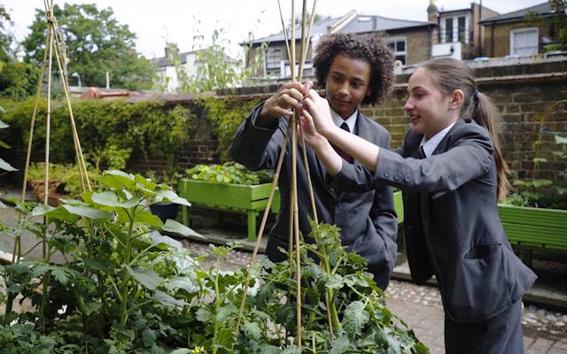 a couple of students gardening together